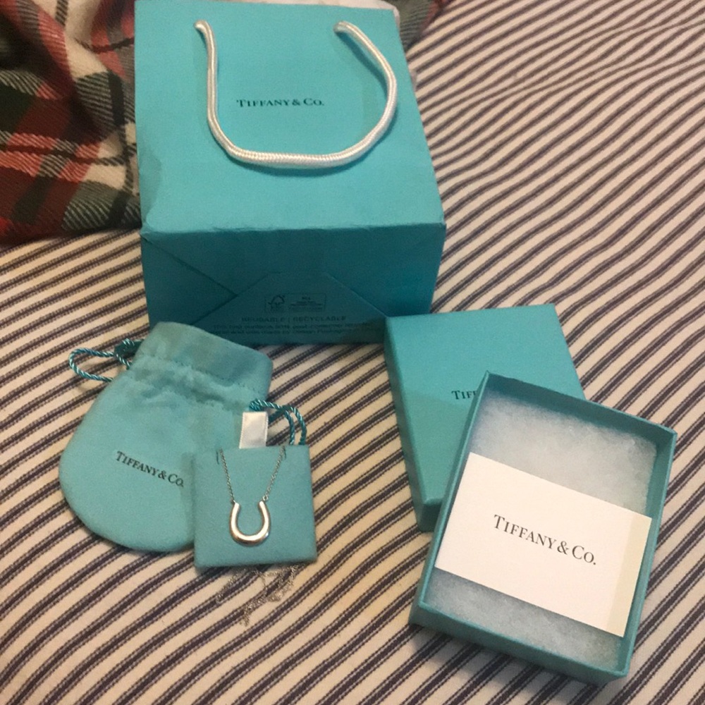 Tiffany & Co Silver Horseshoe necklace
